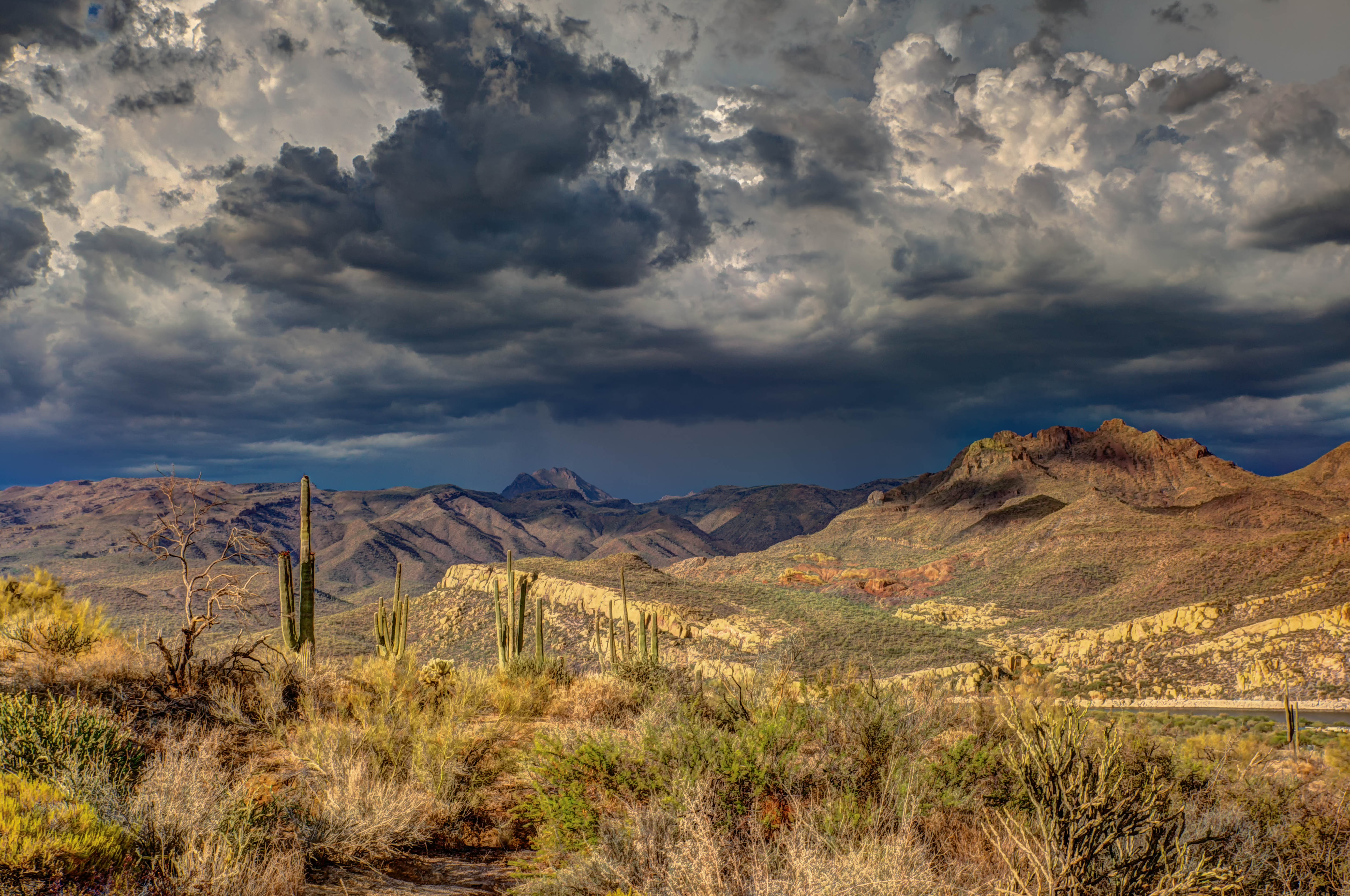 Image of mountains, cacti and cloudy skies. / Photo credit Robert Murray via Unsplash and Wikimedia