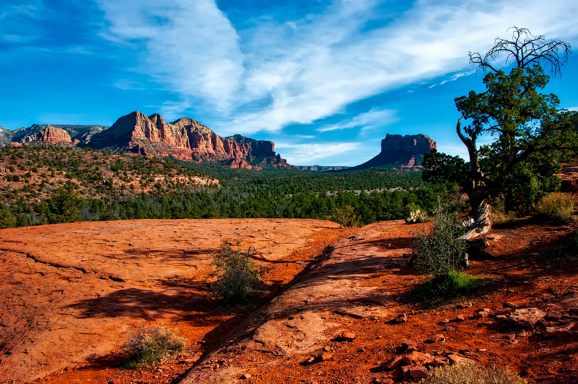 photo of Arizona desert