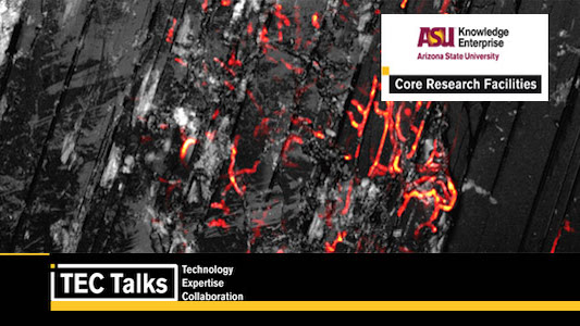 TEC Talk: ASU's Multi-Modal Core Labs Stimulate True Interdisciplinary Research