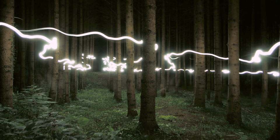 light lines tangled through forest trees