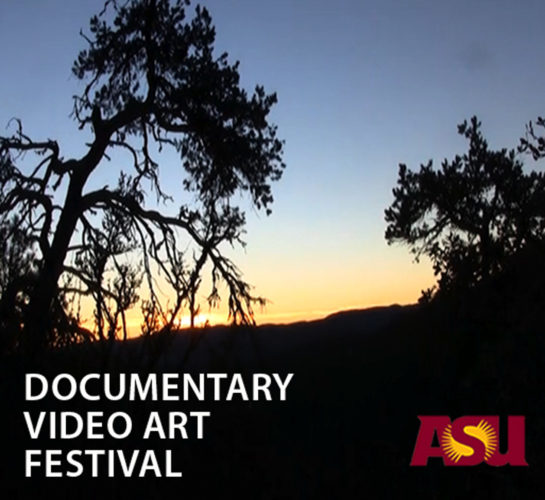 Documentary Video Art Festival