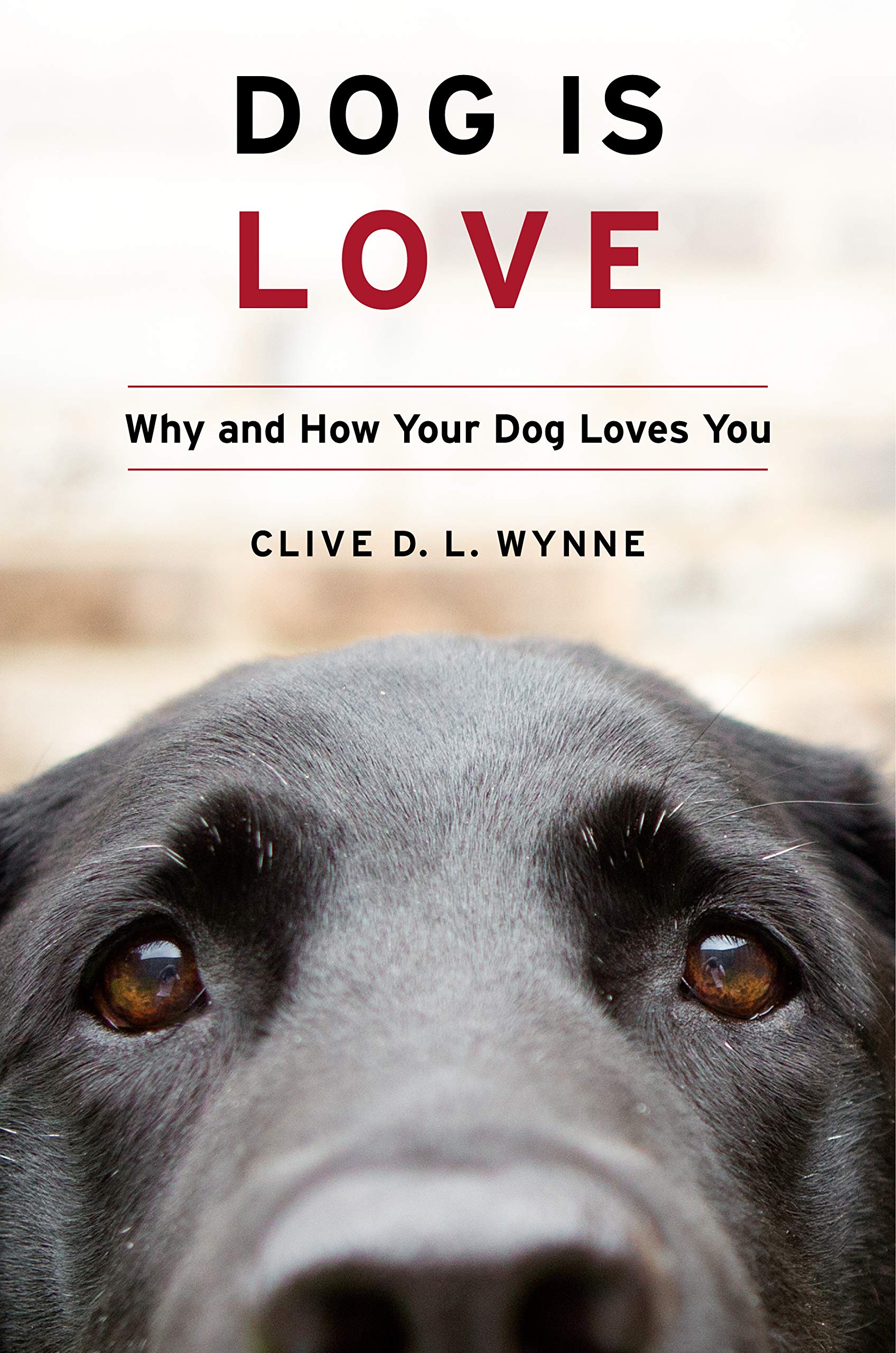Cover of "Dog Is Love" by Clive Wynne