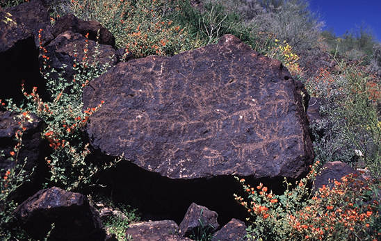 Hedgpeth Hills petroglyphs