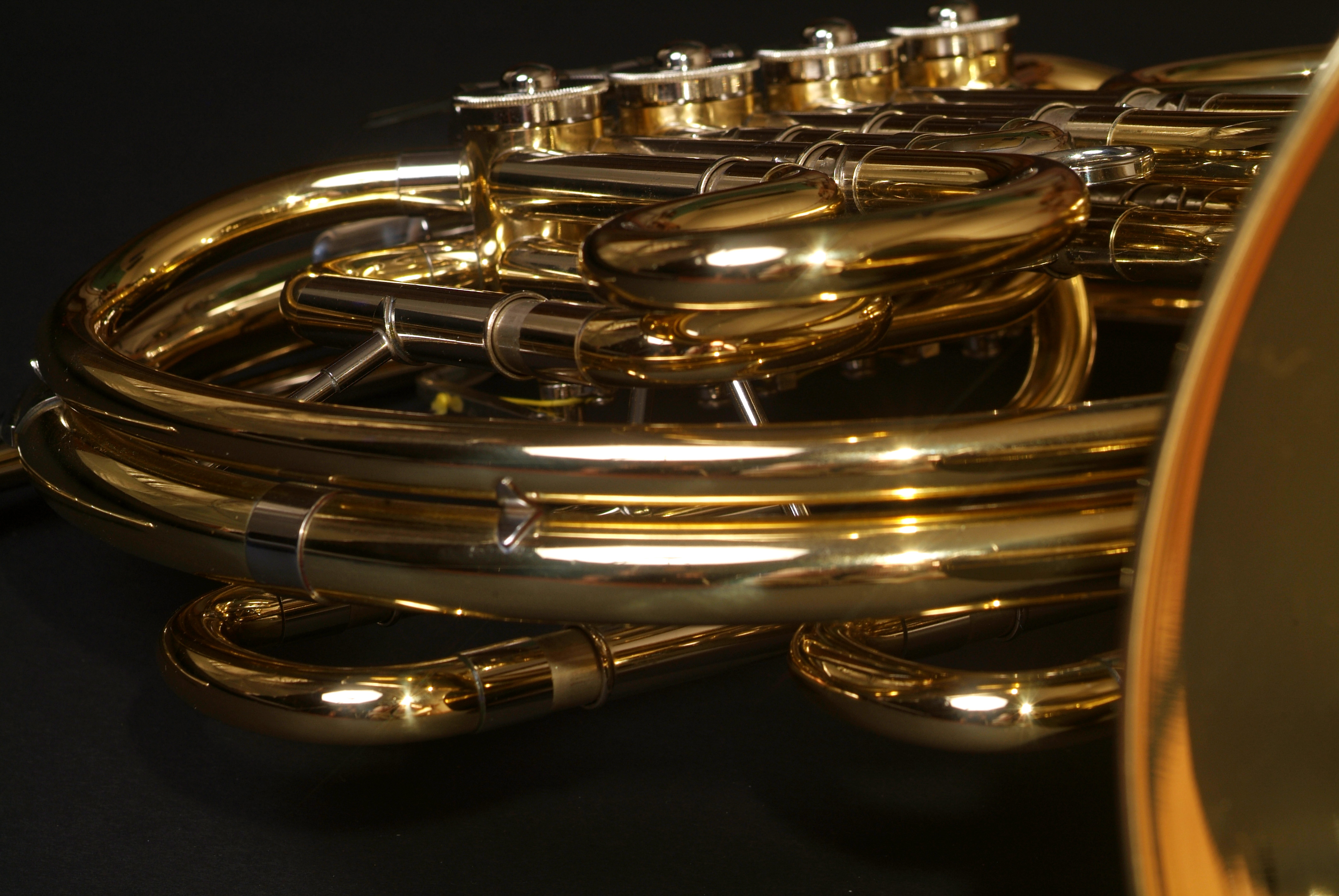 Photo of a French horn