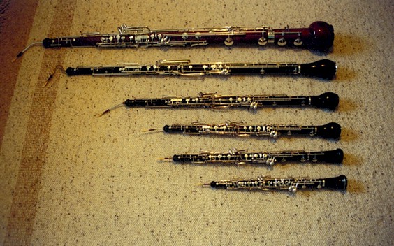 Photo of various sizes of oboe instruments