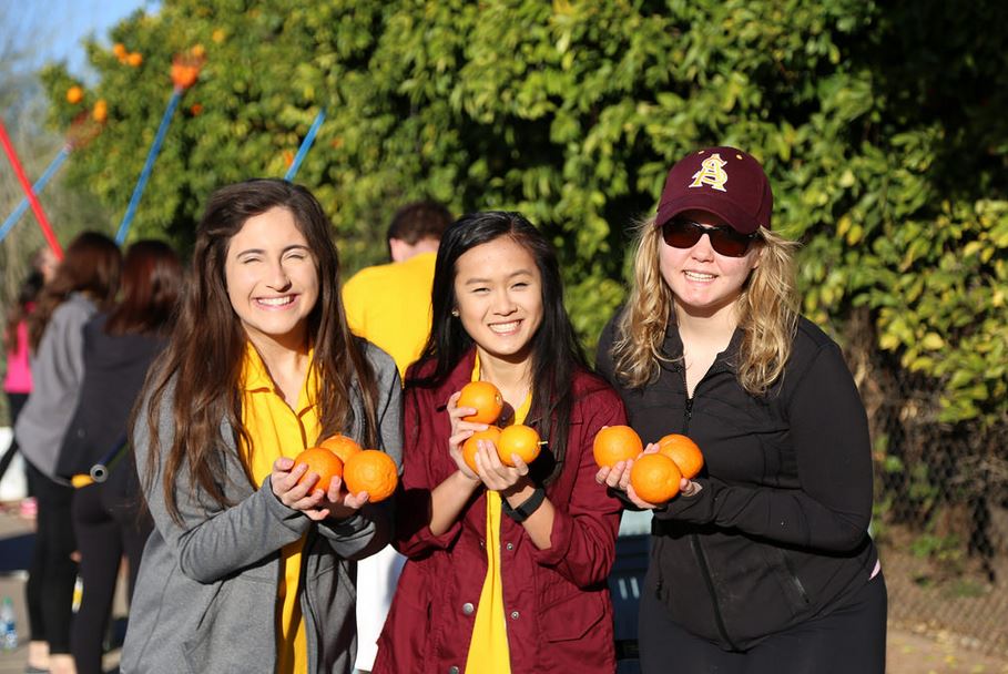 ASU Cares Orange Harvest