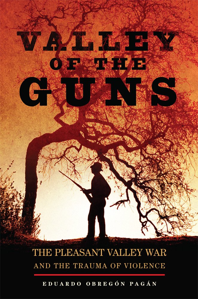 Cover of Valley of the Guns