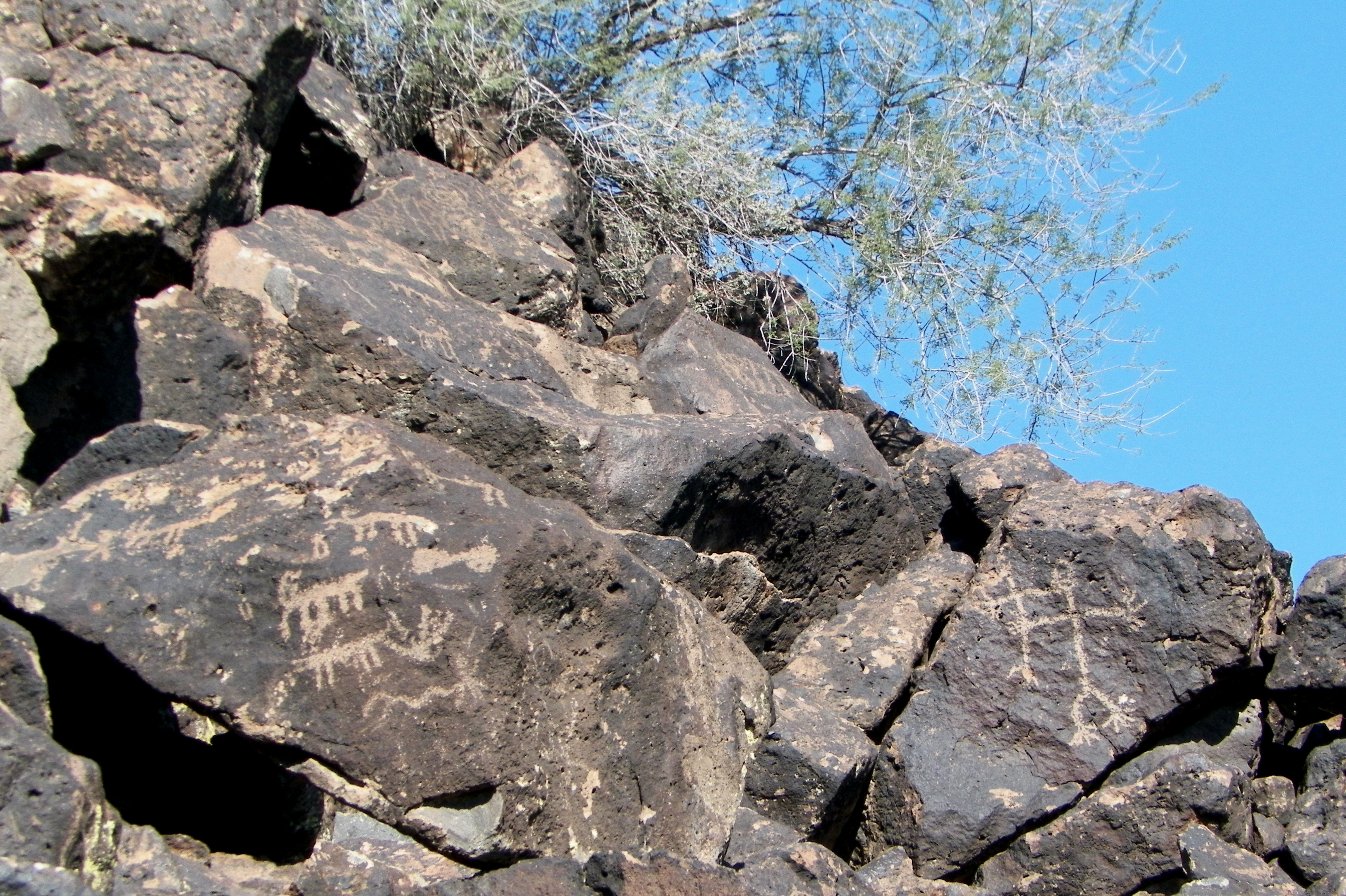 photo of rocks with petroglyphs