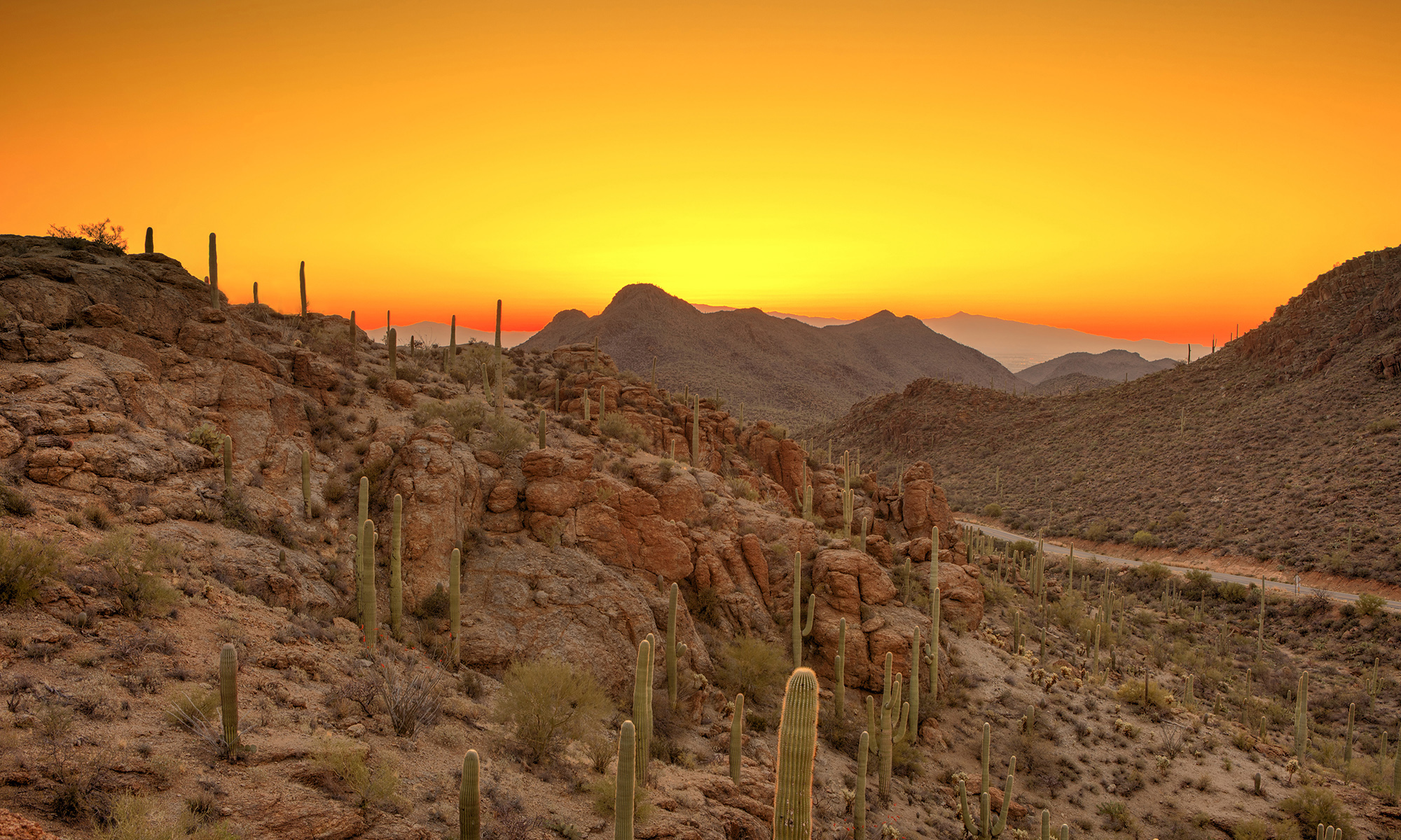 Desert sunset image for SLSA 2017