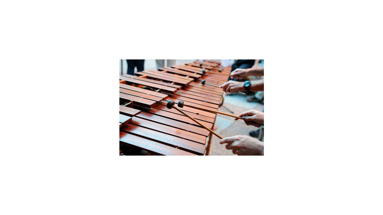 Stock photo of marimba performance