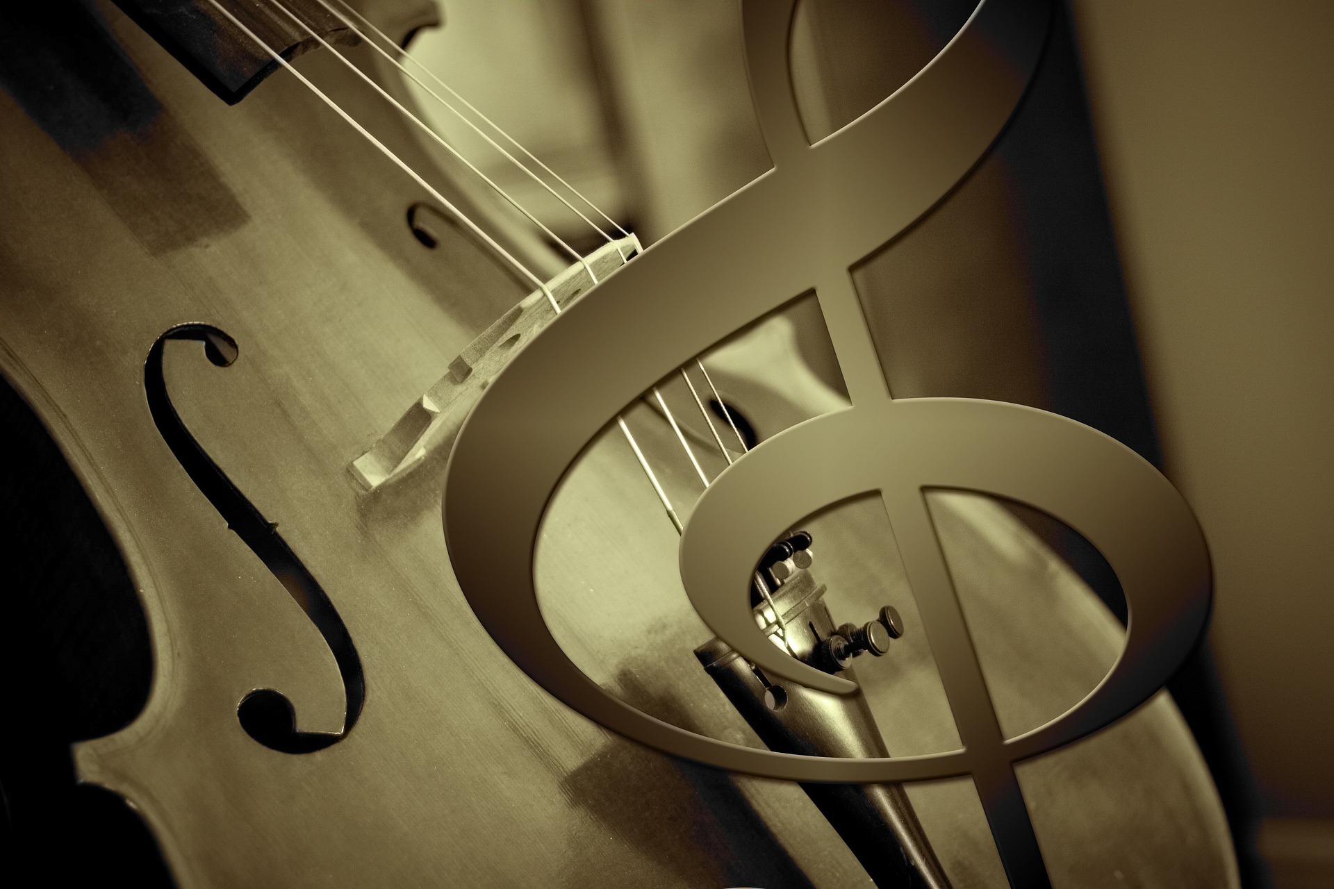 stylized photo of a cello