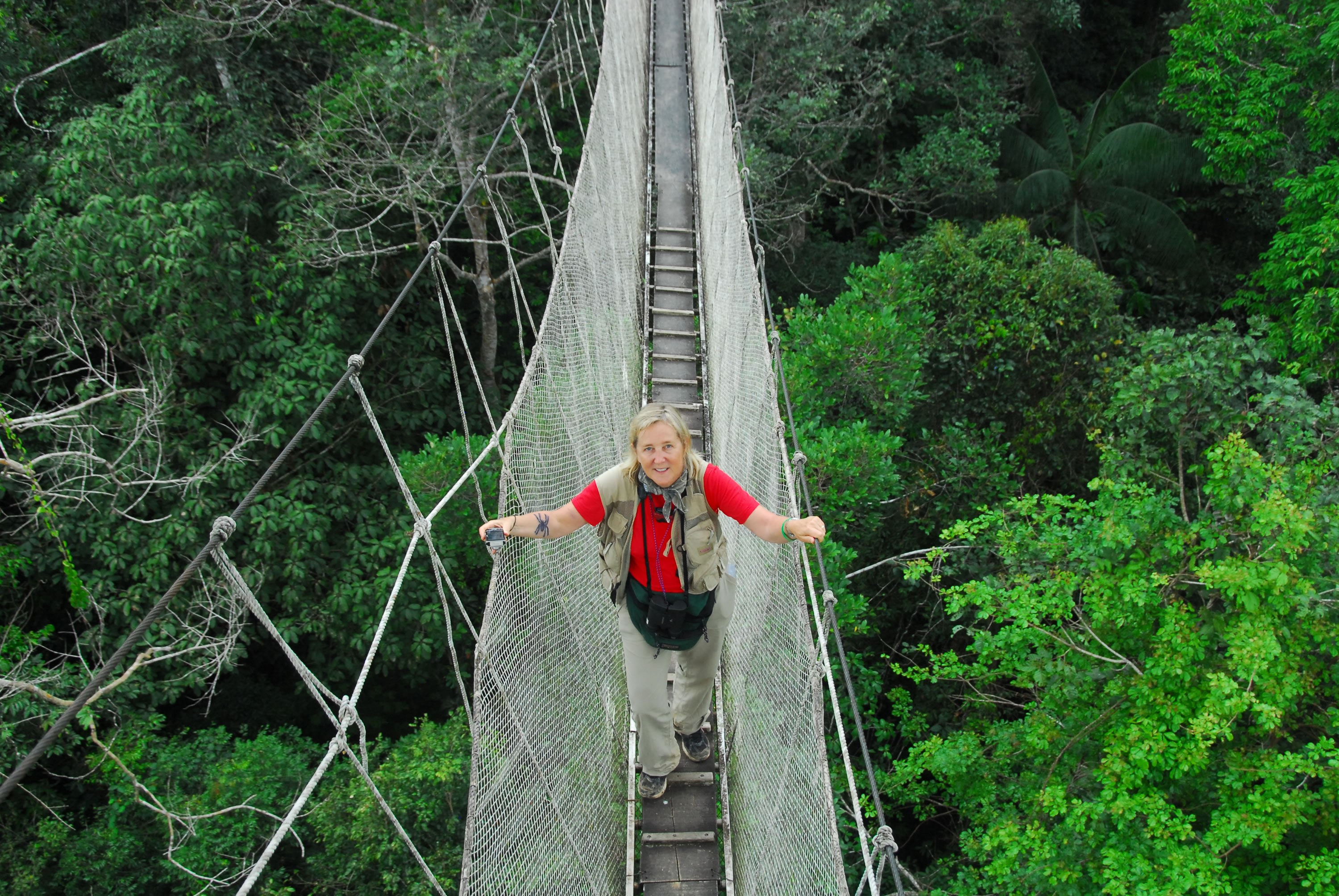 Meg Lowman on a canopy walkway in Peru / Photo courtesy the Tree Foundation