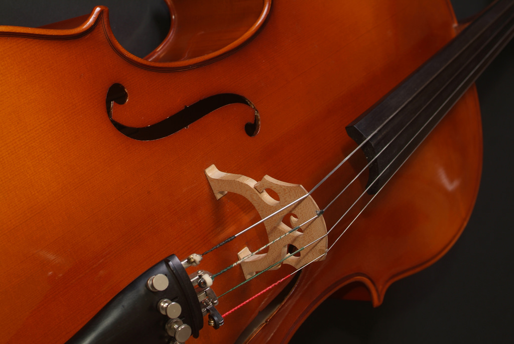 Stock photo of a violin