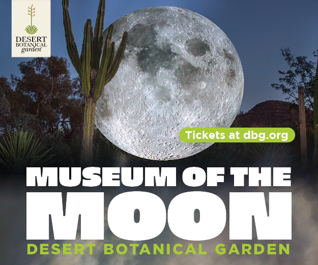 Museum of the Moon