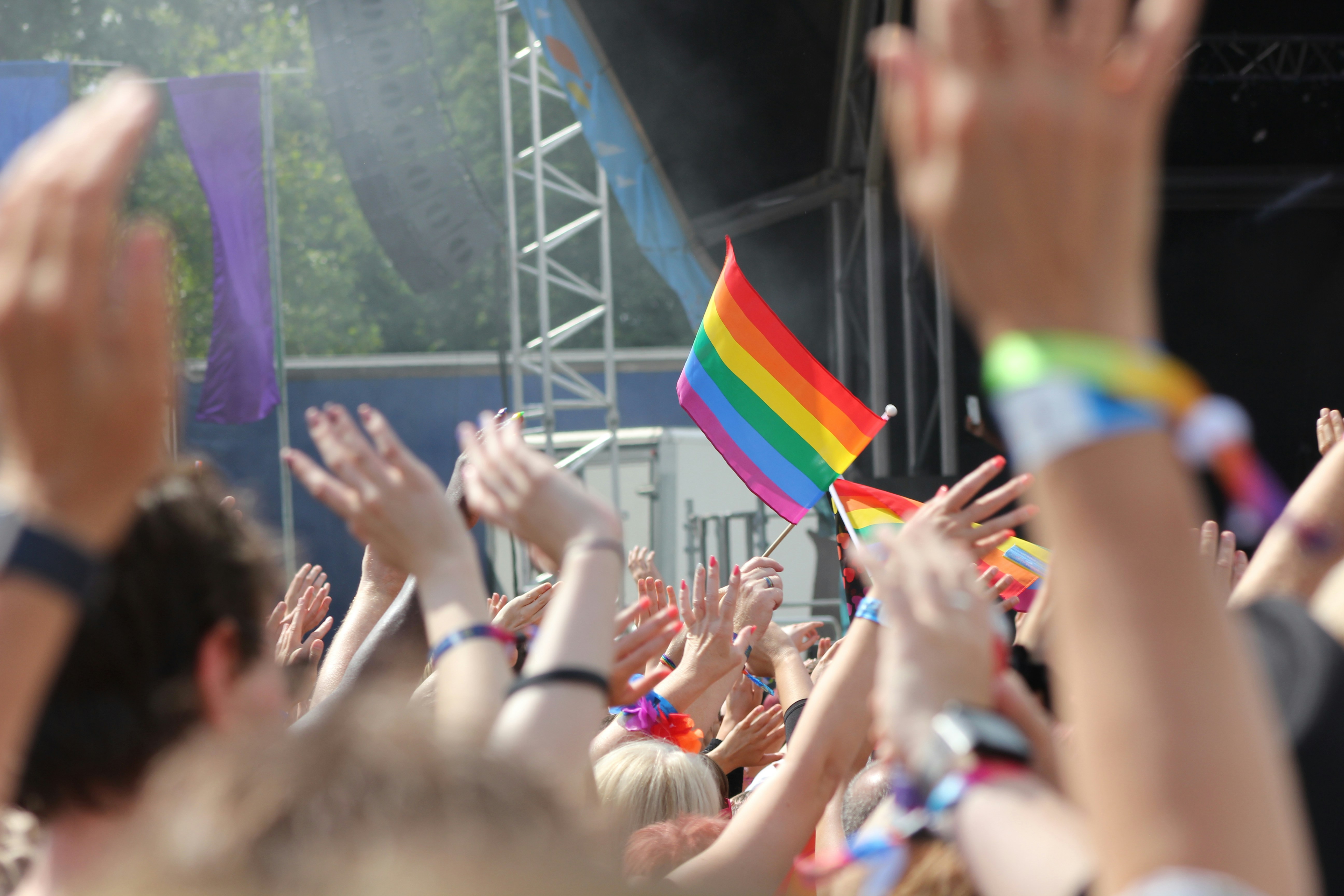 crowd of people with Pride flags at outdoor concert 