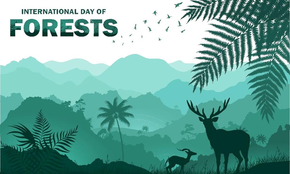 image of forest with animals