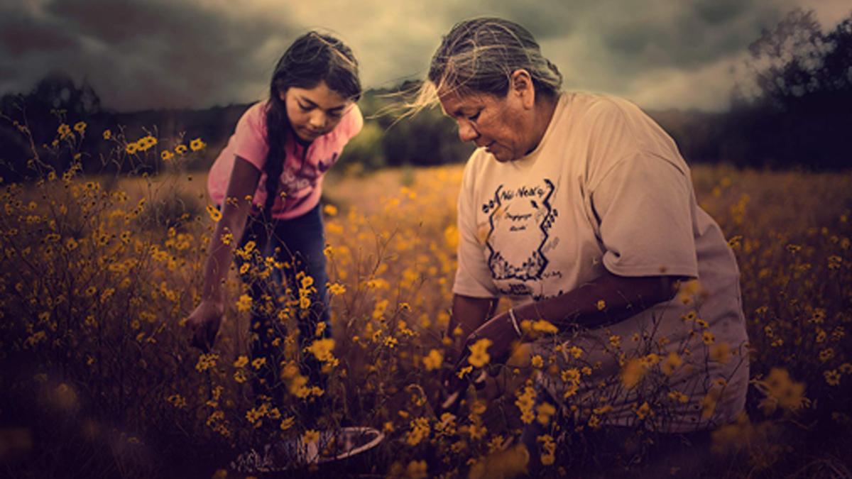 Gather film screening movie poster showing a young child and elder kneeling in a field of flowers