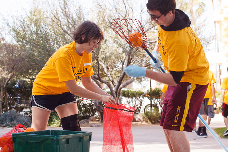 Photo of volunteers at campus orange harvest