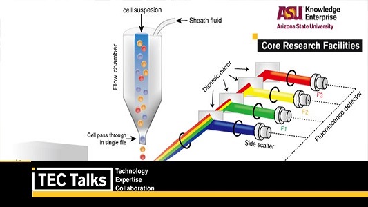 TEC Talk: Flow Cytometry Experimental Design