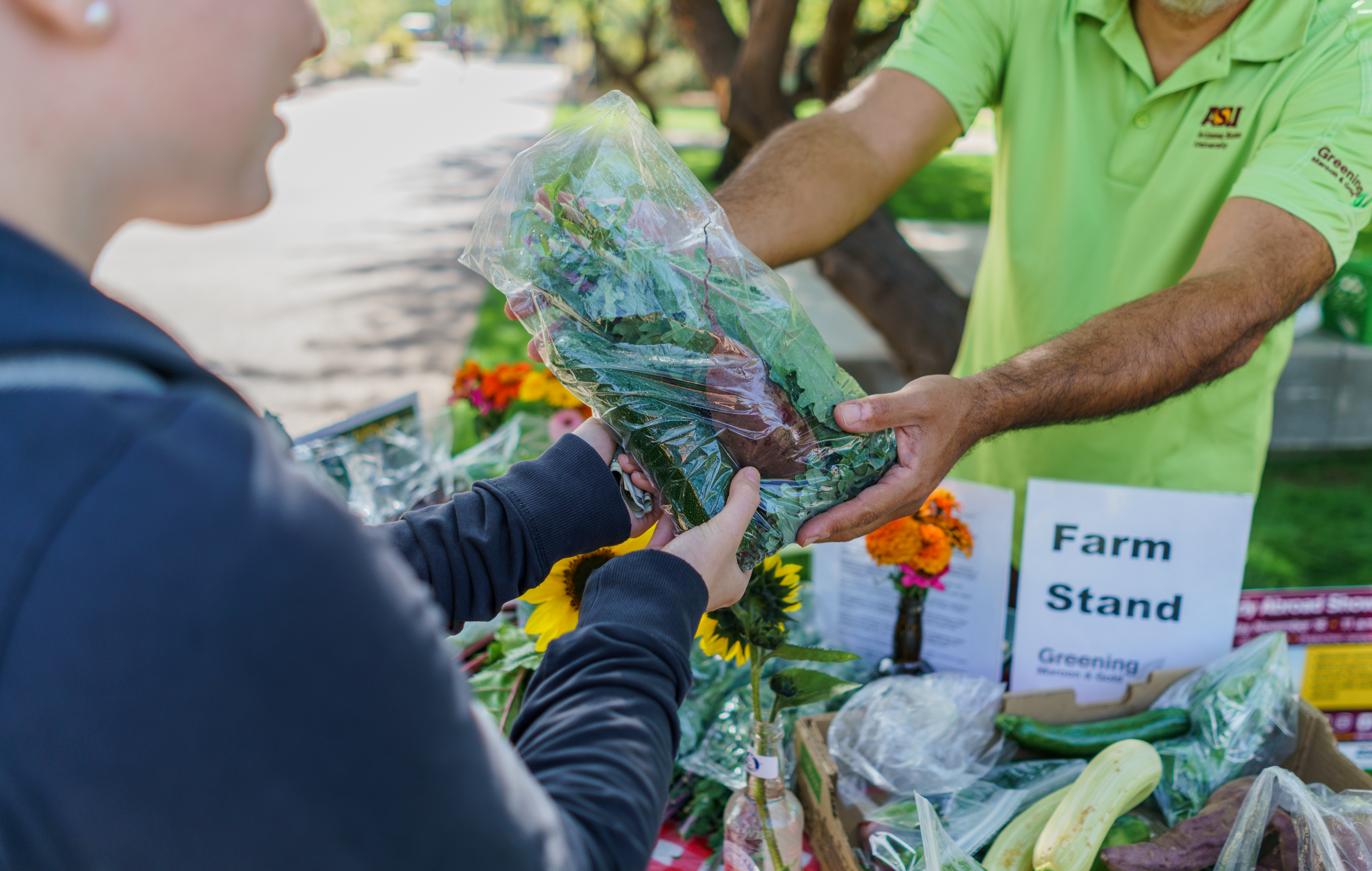 Cakes and Cacti: Plant Sale and Pancake Breakfast at the Garden Commons